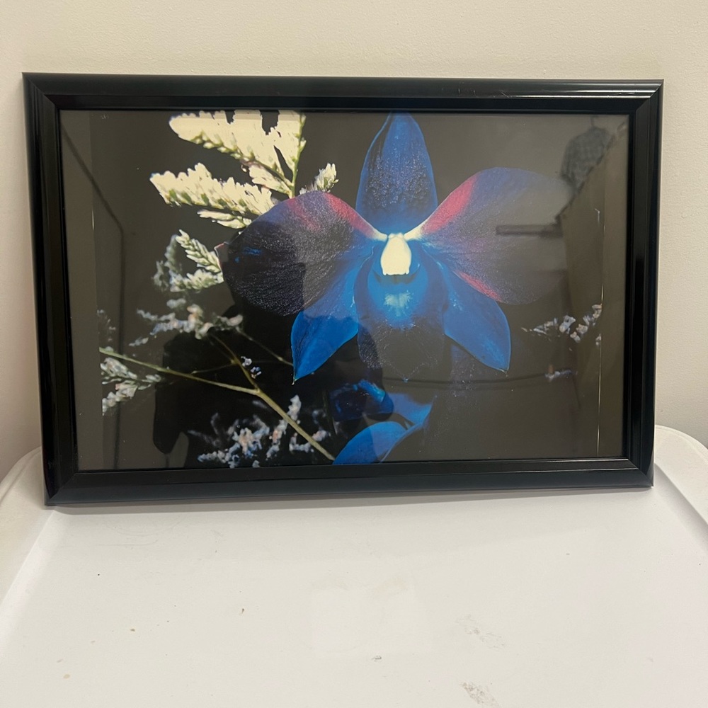 Photos.